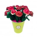 Bouquets de Roses en Chocolat