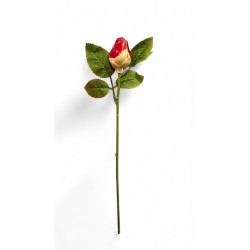 Rose en Chocolat blanc