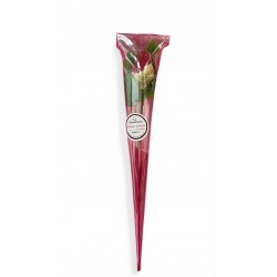 Rose en Chocolat blanc