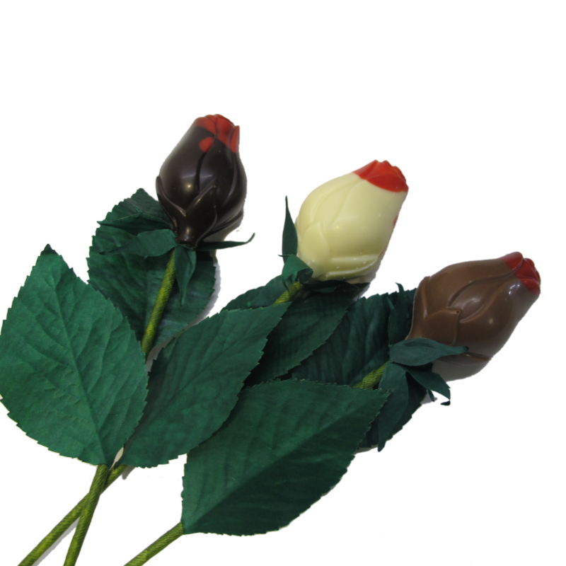 Boutons de roses en chocolat 26cm - le lot de 5